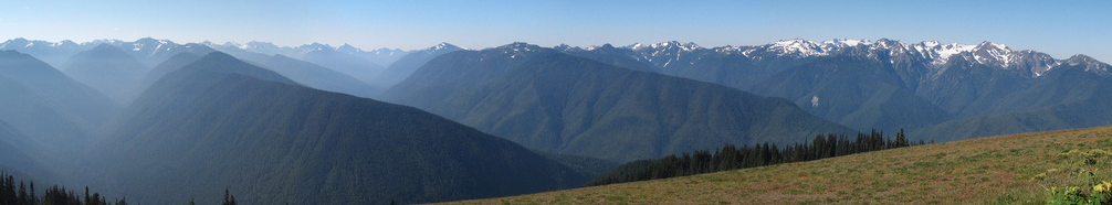 Hurricane Ridge in August