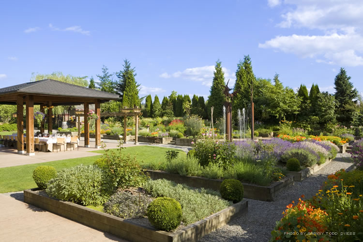 Willows Lodge, outside in the garden